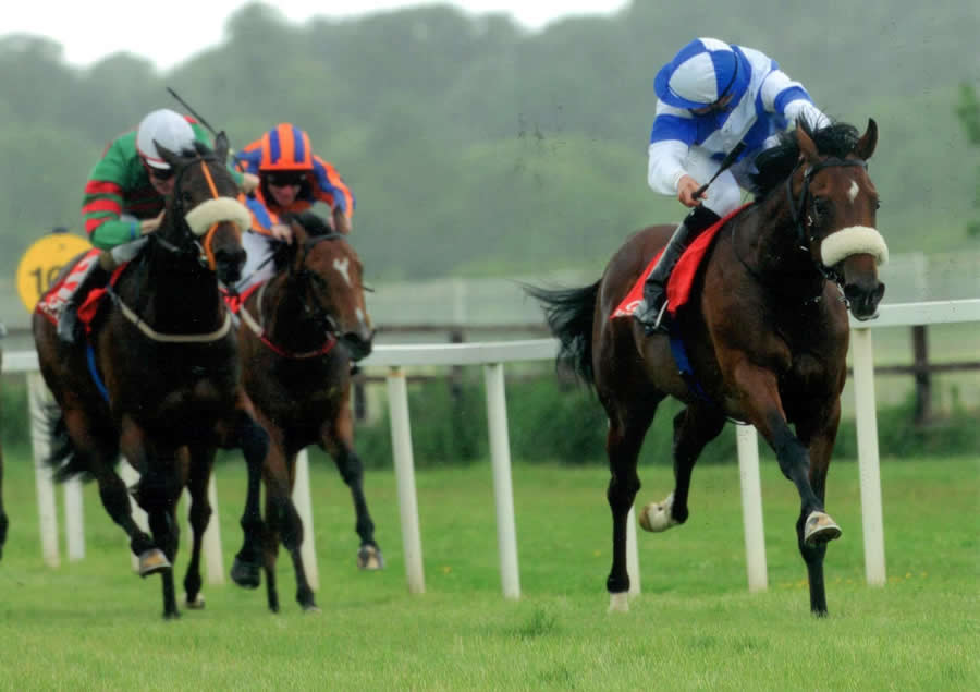 Clondinnery 13th June Cork